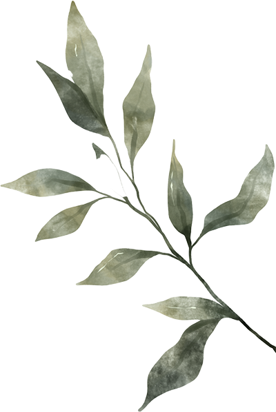 Leaf3